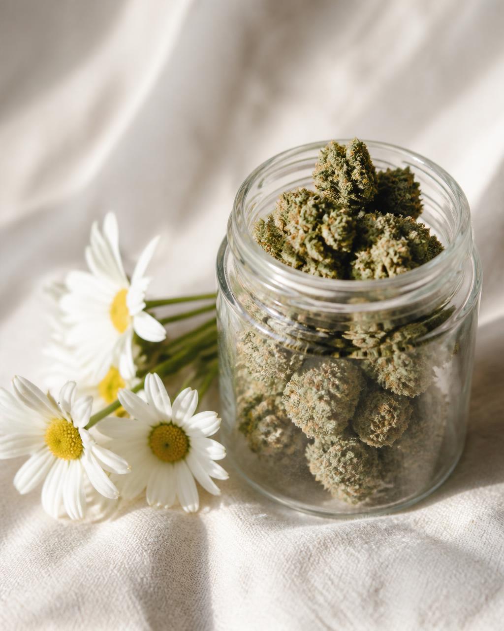Jar of Dayzees premium cannabis flower beside fresh white daisies in warm daylight